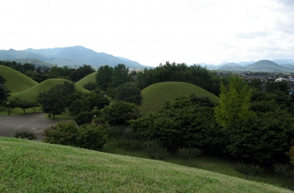 [n550671137_519094_8826[1].jpg]